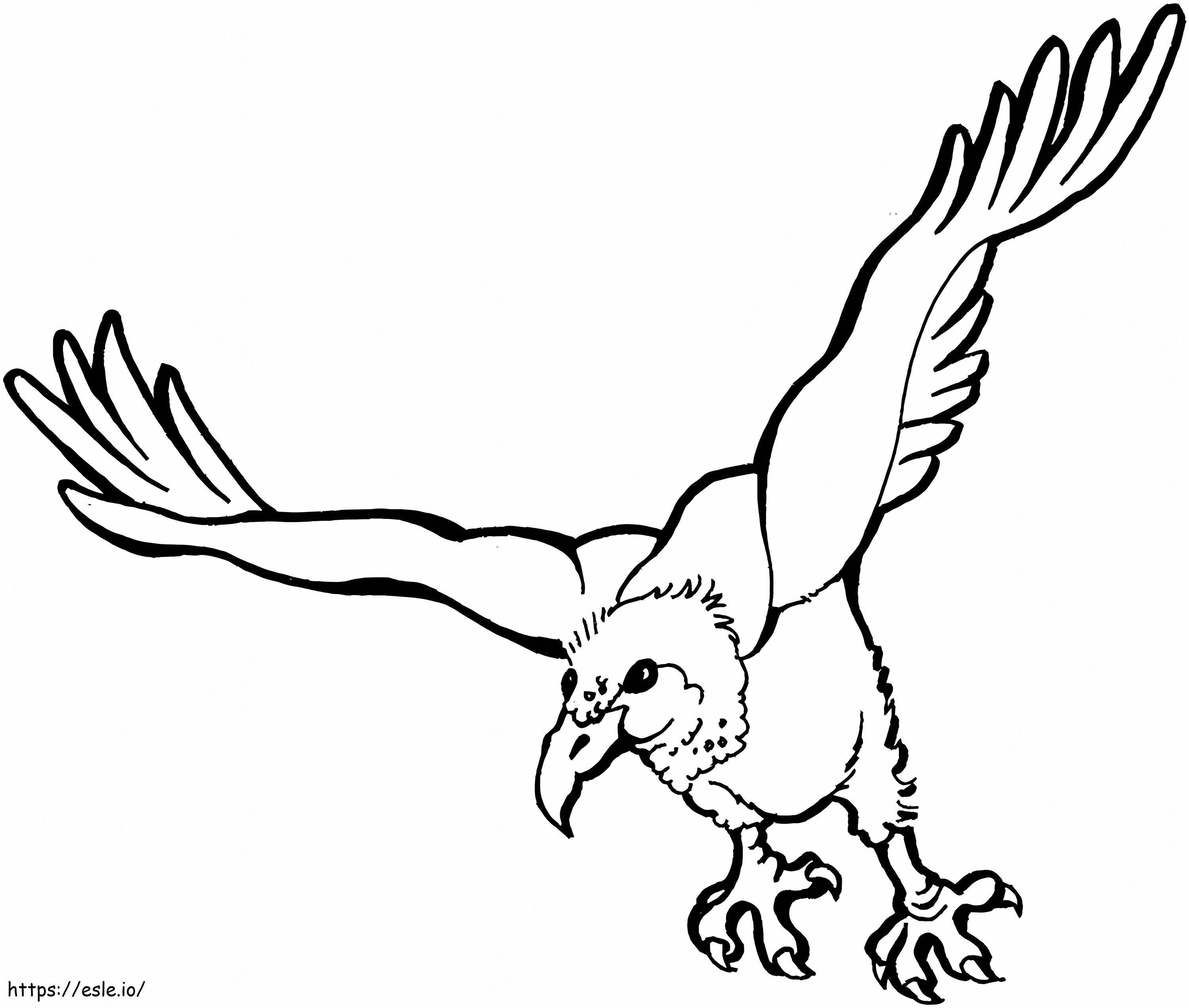 Avvoltoio in volo da colorare
