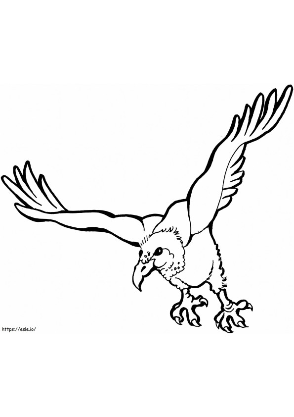 Vulture Flying värityskuva
