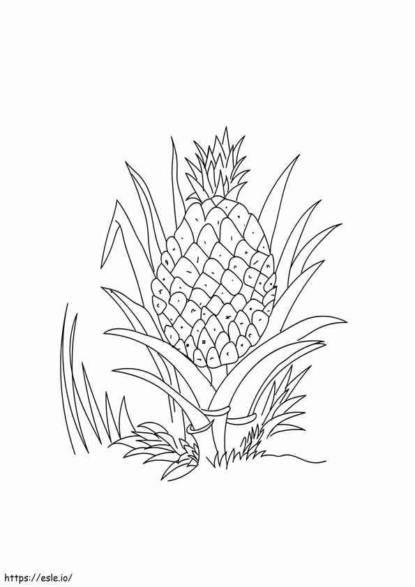 1533629798 1528444045 A Ripe Pineapple 16 A4 Copy coloring page