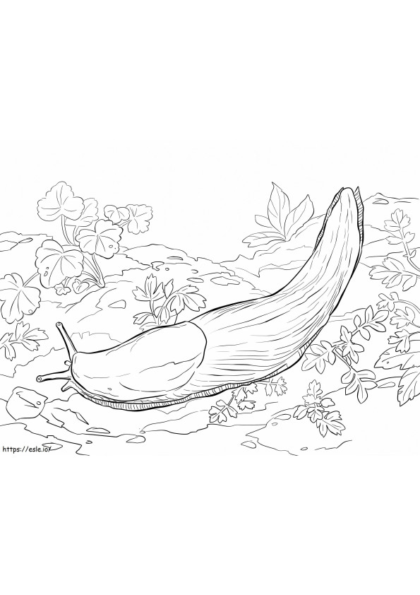 バナナナメクジ ぬりえ - 塗り絵
