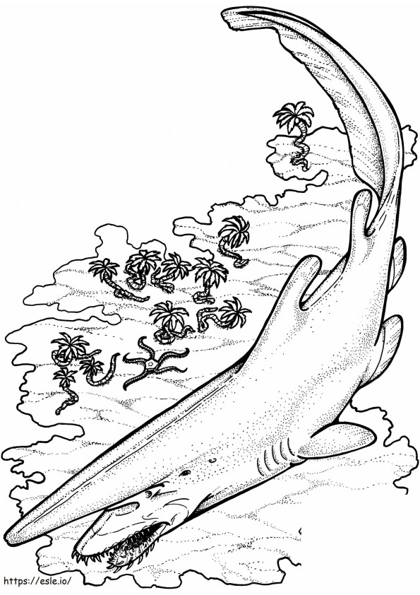 Koboldhai ausmalbilder