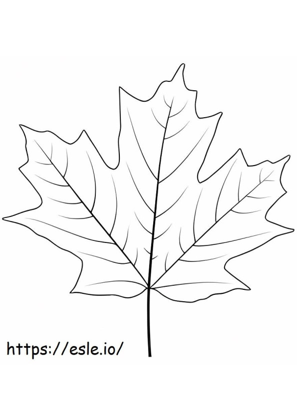 Sugar Maple Leaf coloring page