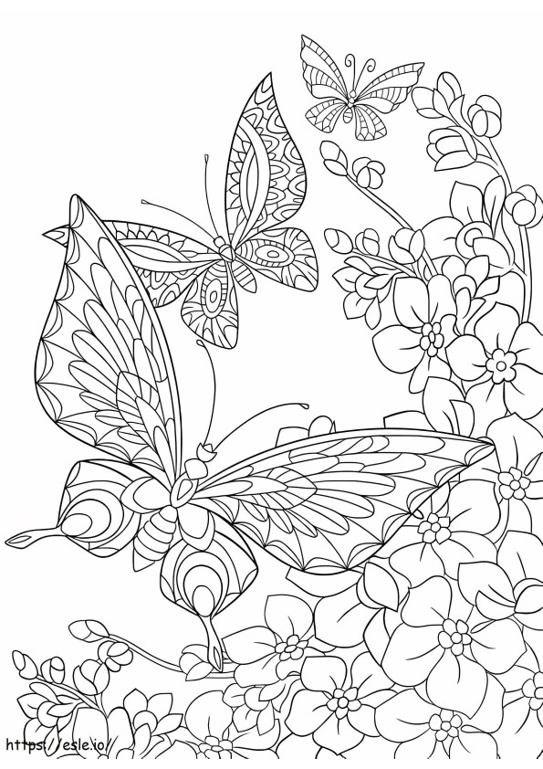 Coloriage Deux papillons pour adultes à imprimer dessin