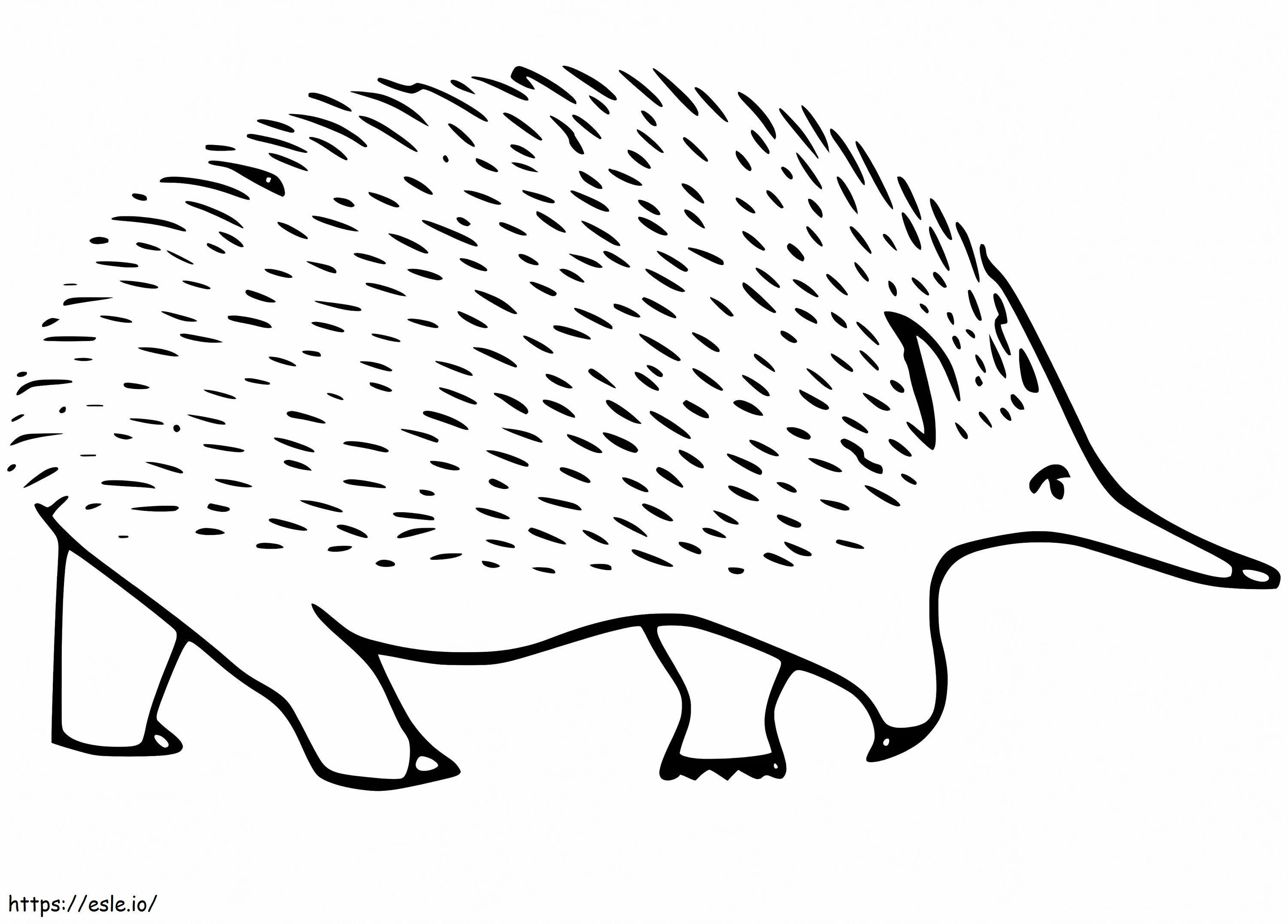 Free Printable Echidna coloring page