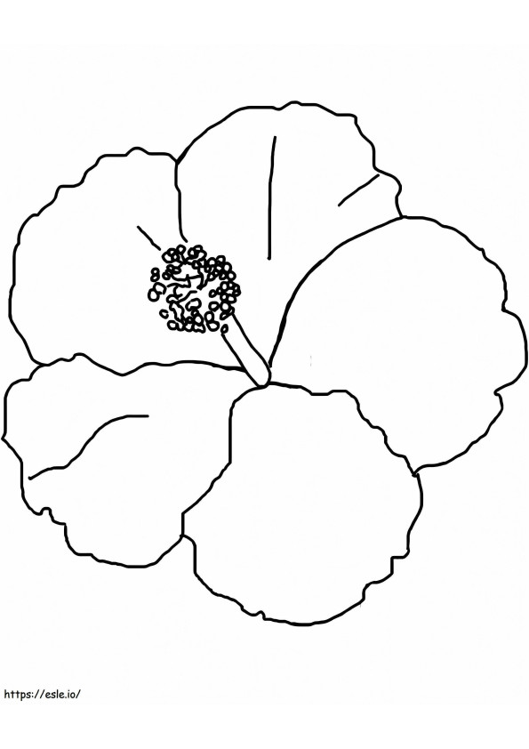 Coloriage Fleur d'hibiscus 14 à imprimer dessin