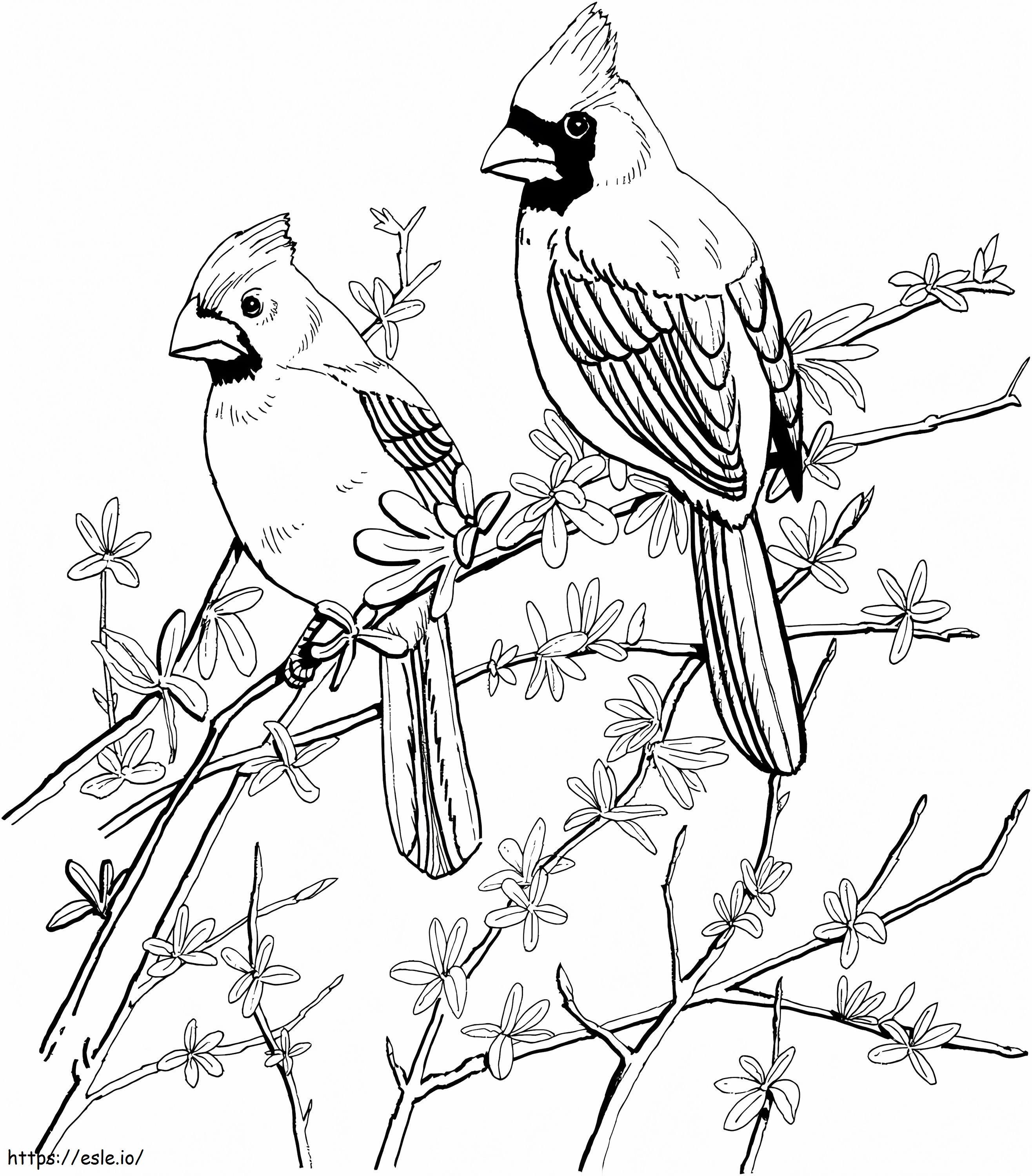 Cardinali Rossi Su Un Albero disegni da colorare