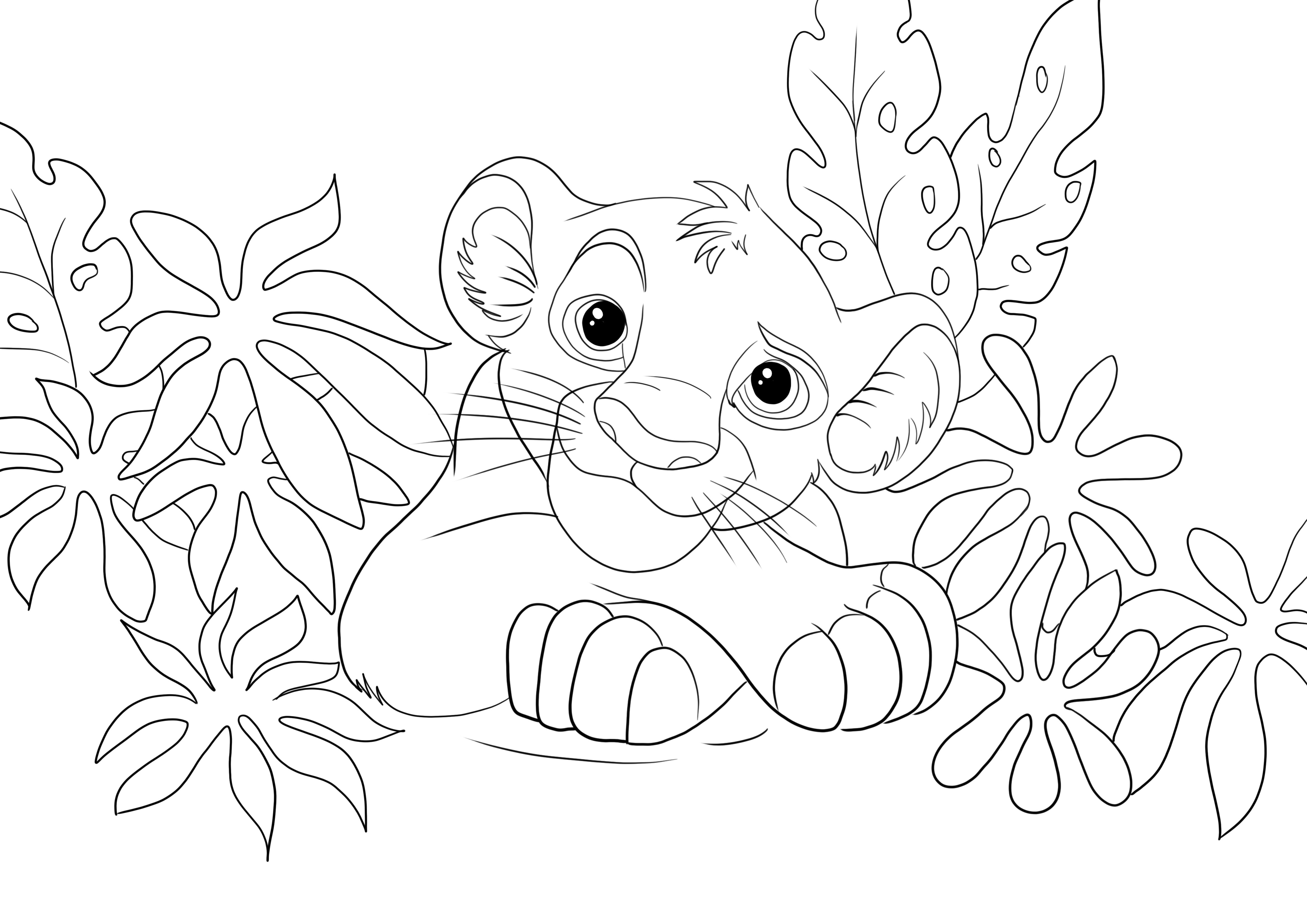 Cute lion Simba coloring image for free downloading