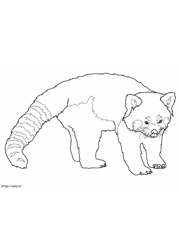 Printable Red Panda coloring page