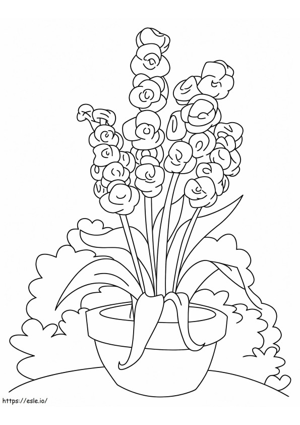 Gladiolus Flowers 12 coloring page