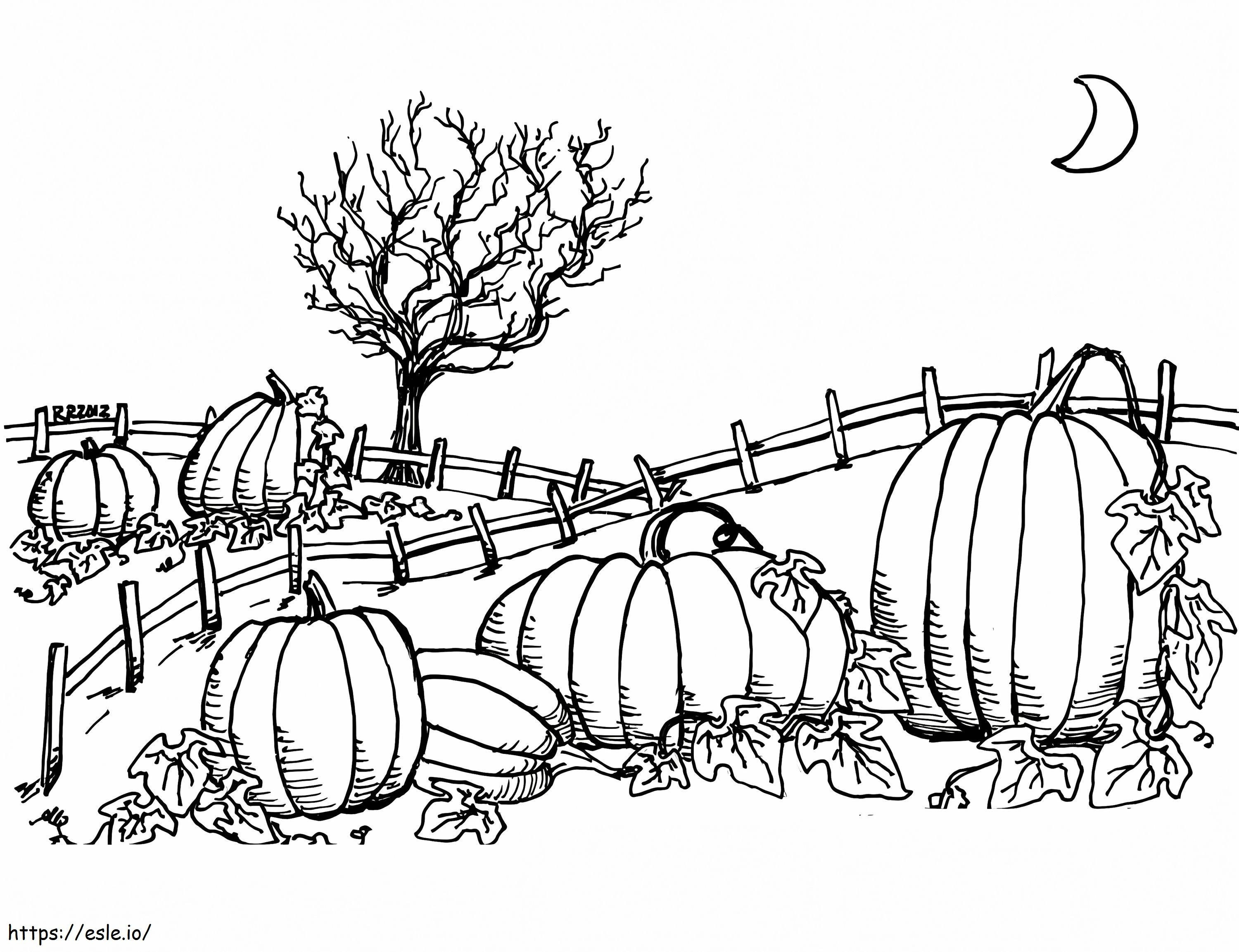Pumpkin Patch 3 coloring page