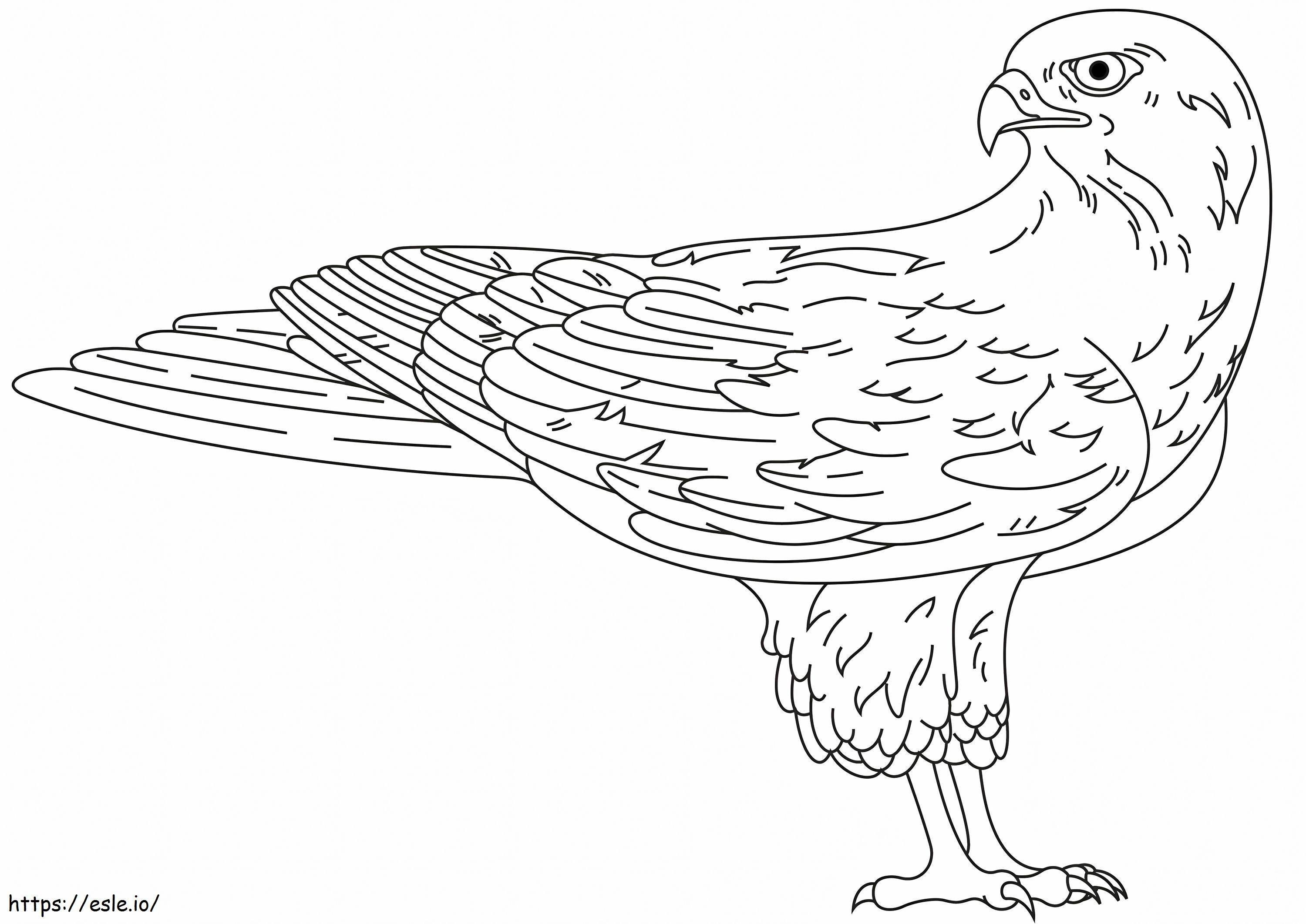 Falcon värityskuva