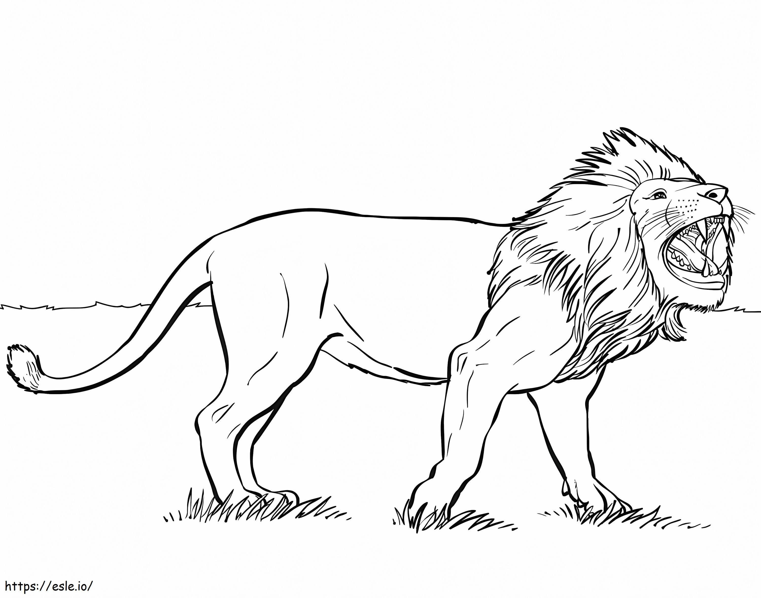 Leão que ruge para colorir