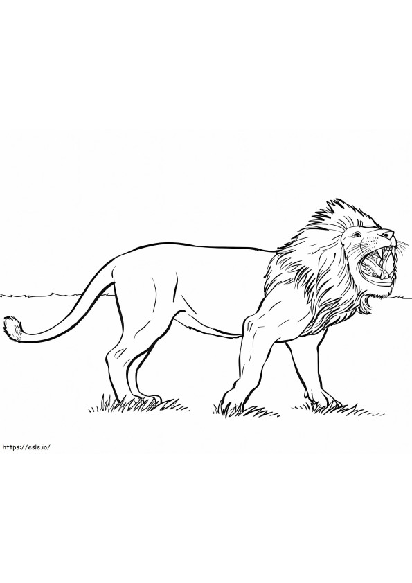 Karjuva leijona värityskuva