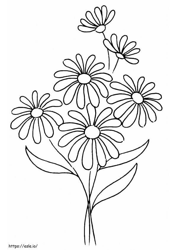 Bunga Daisy yang cantik Gambar Mewarnai