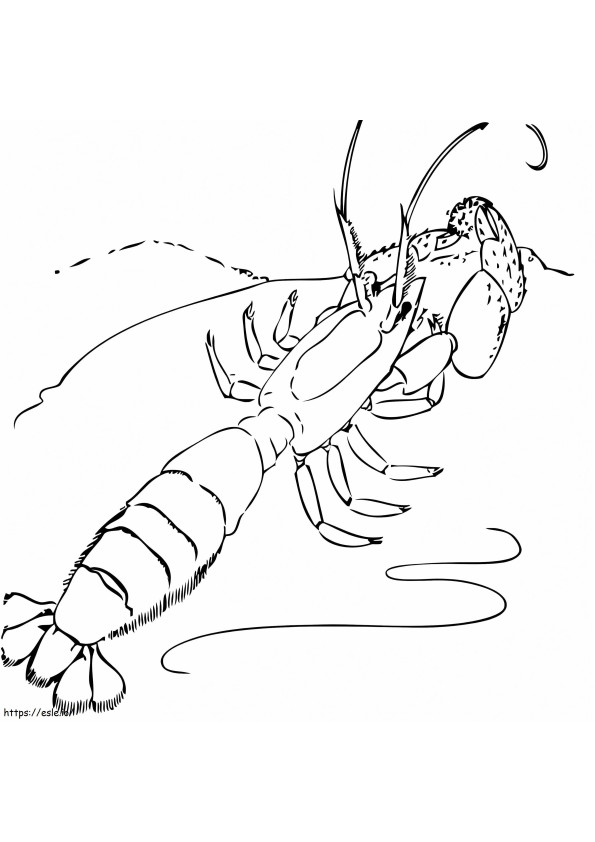 Ghost Shrimp coloring page