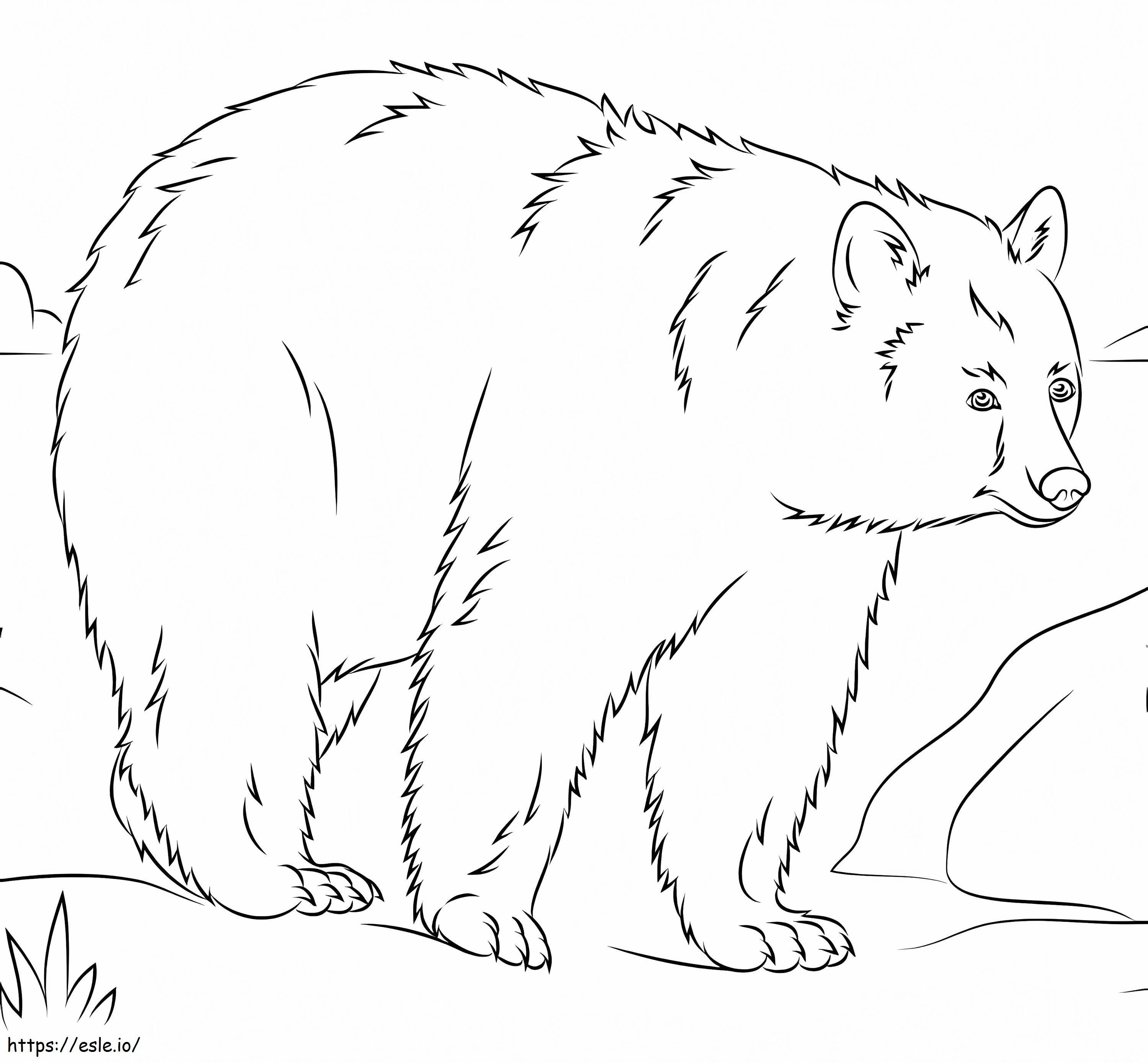 Beruang Hitam Amerika Sederhana Gambar Mewarnai