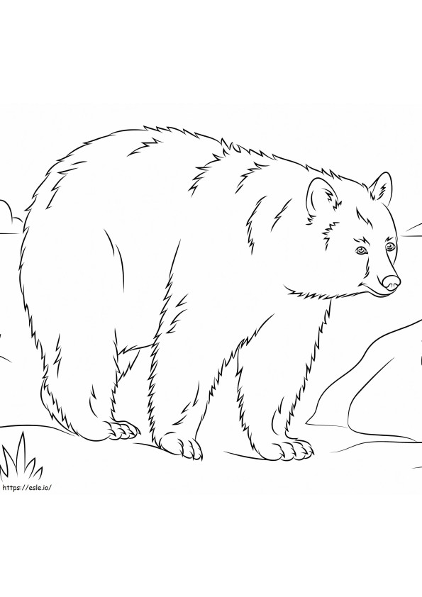 Beruang Hitam Amerika Sederhana Gambar Mewarnai