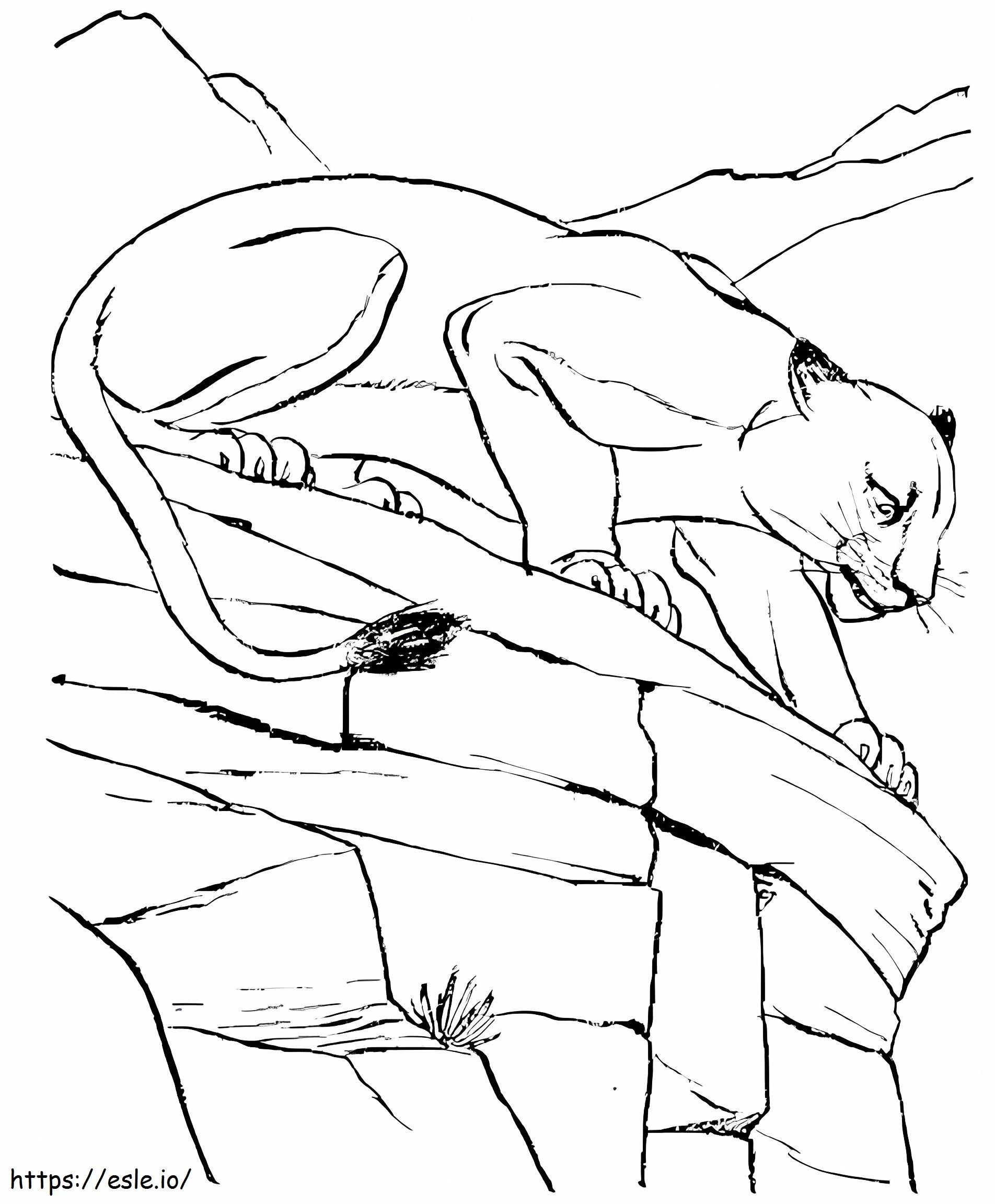 Puma Cool coloring page
