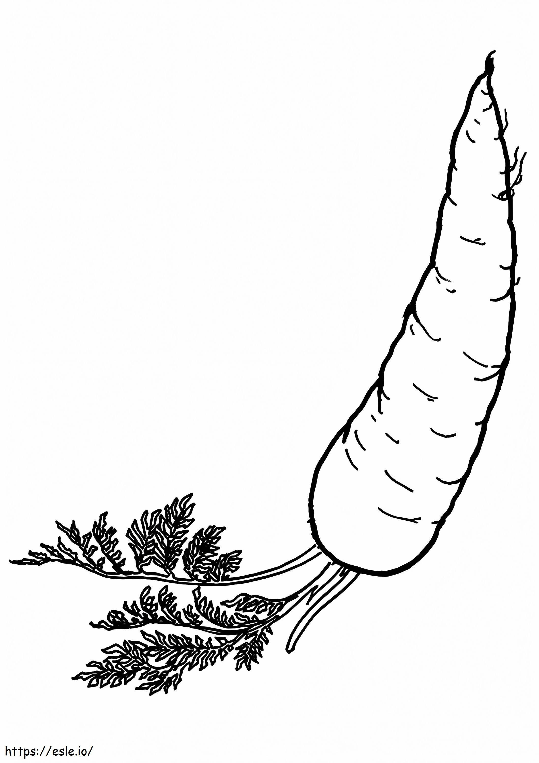 1528362796 The Carrots Are Orange A4 coloring page