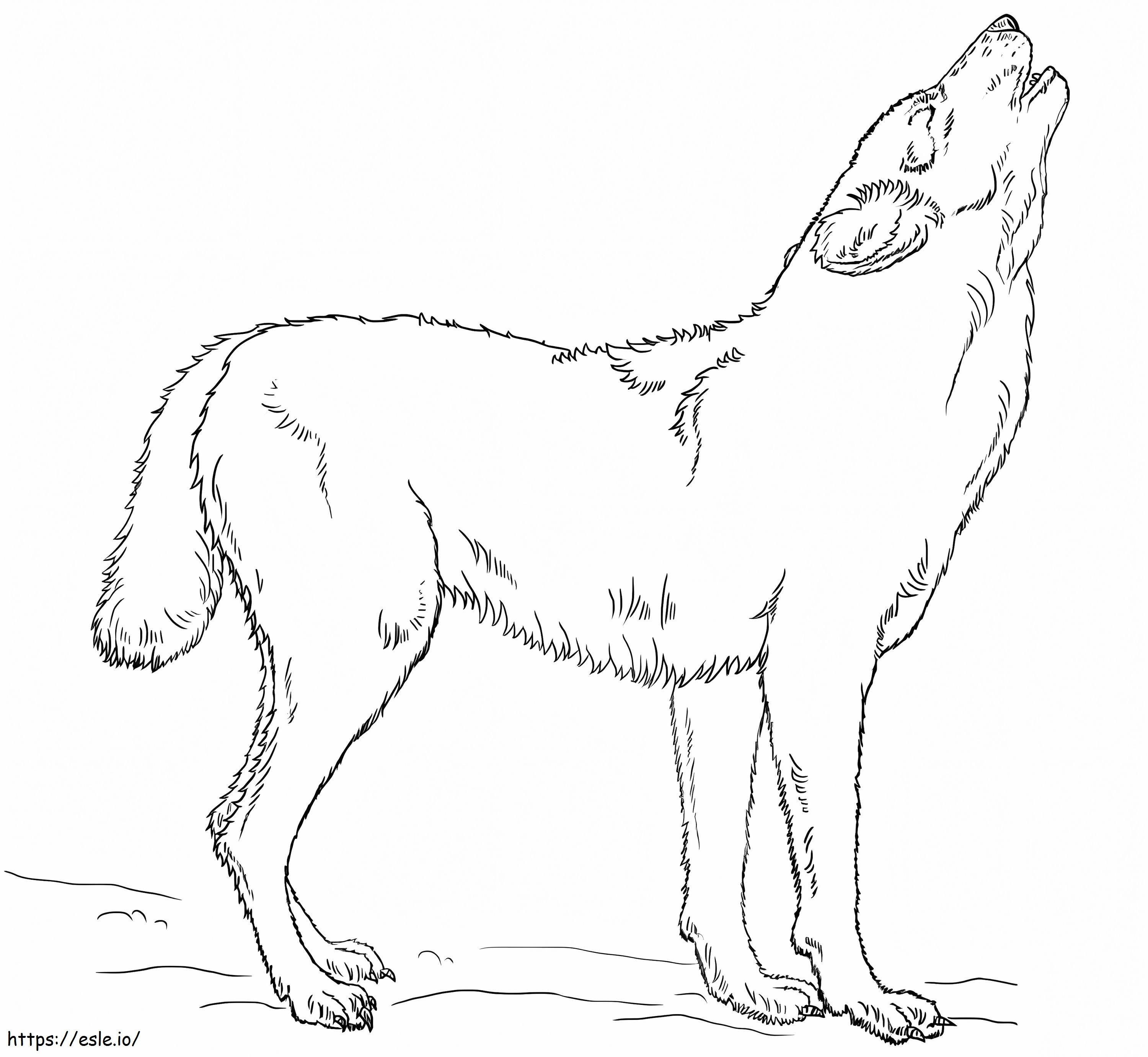Coloriage Loup hurlant 1 à imprimer dessin