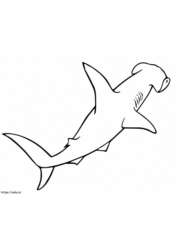 Coloriage Requin marteau 1 à imprimer dessin
