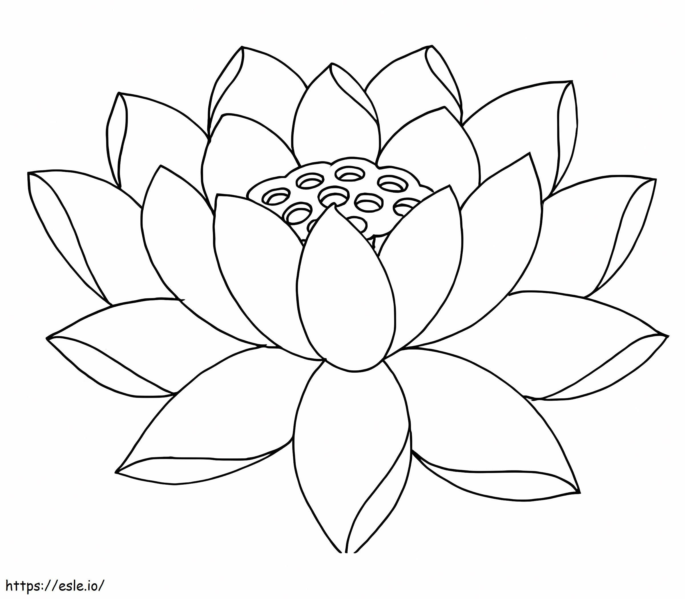 Çarpıcı Lotus boyama