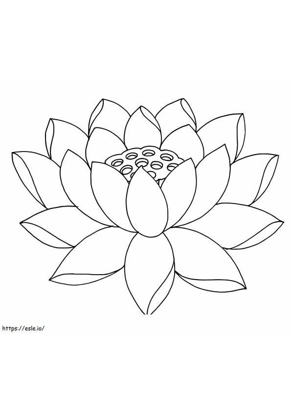 Coloriage Superbe lotus à imprimer dessin