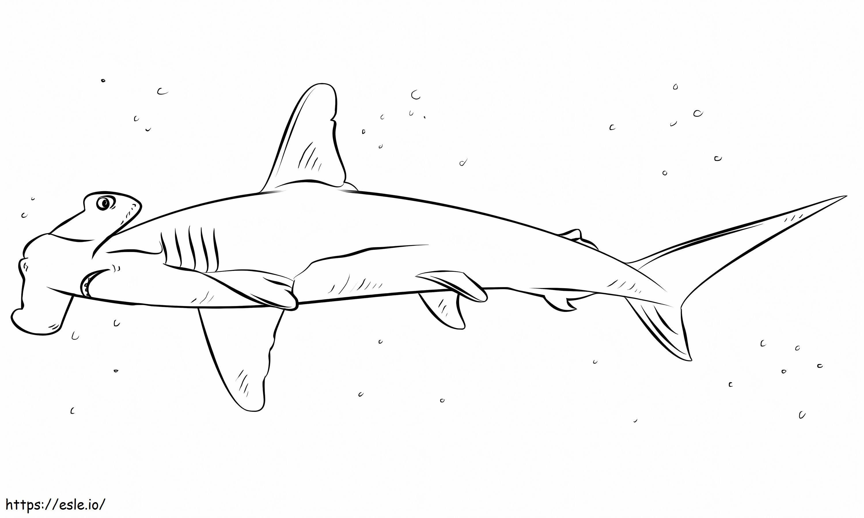 Tiburón martillo nadando para colorear
