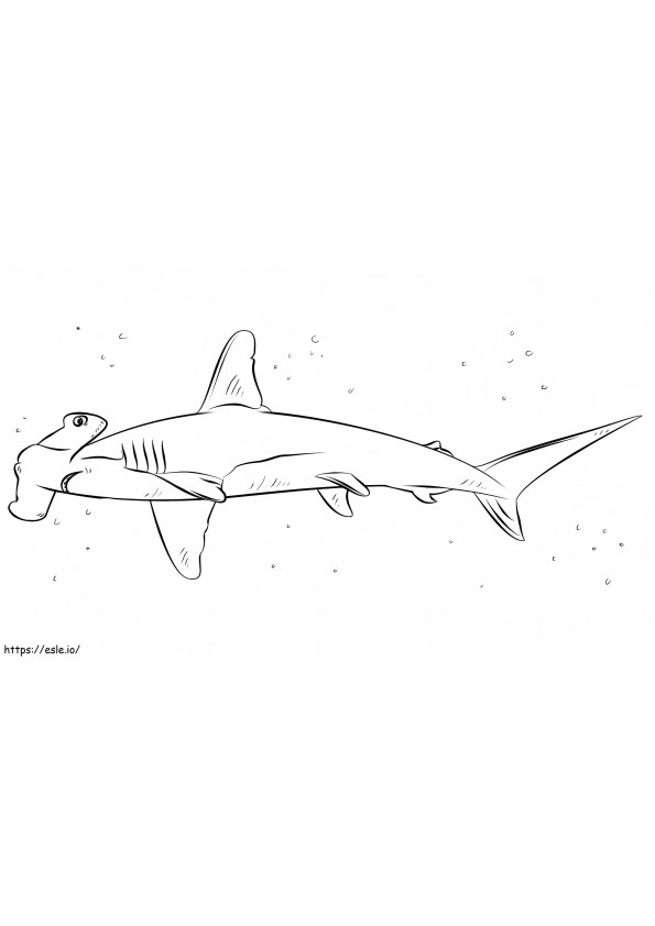 Tiburón martillo nadando para colorear