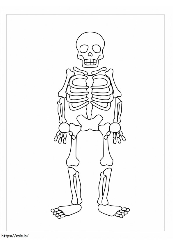 Axial Skeleton coloring page