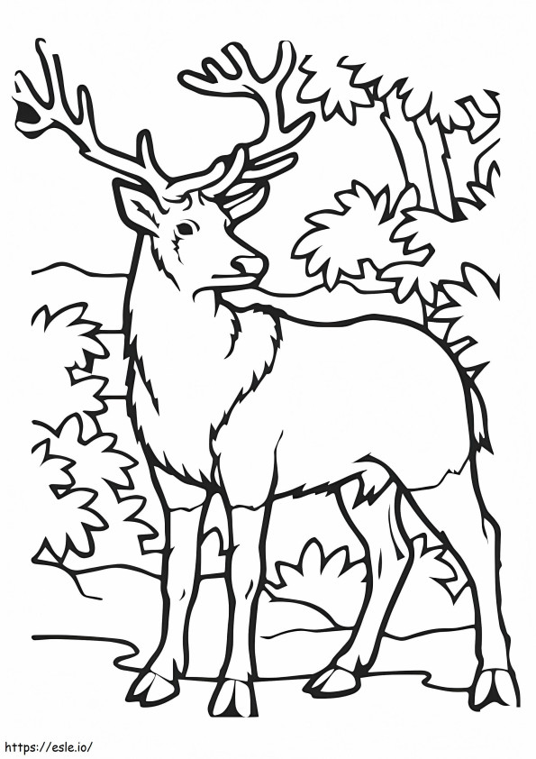 Moose In The Jungle coloring page