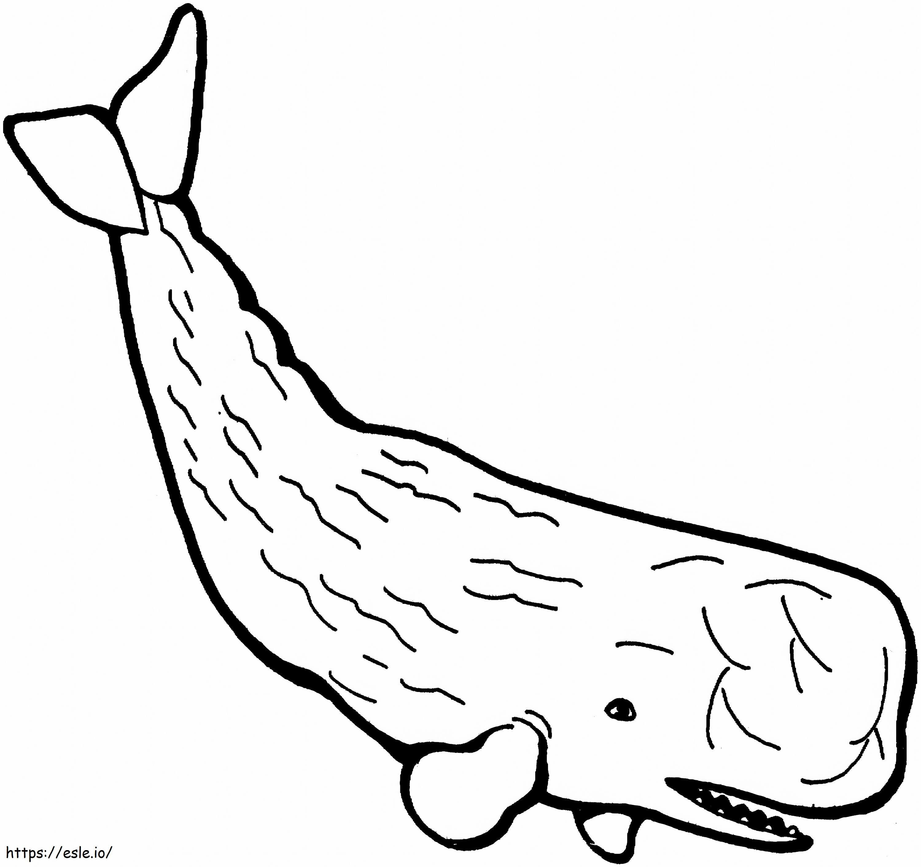 1541748078 クジラの有効精子 12 ページ中 ぬりえ - 塗り絵