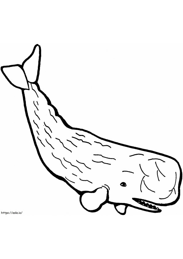 Coloriage 1541748078 Sperme valide de baleine, page de 12 à imprimer dessin