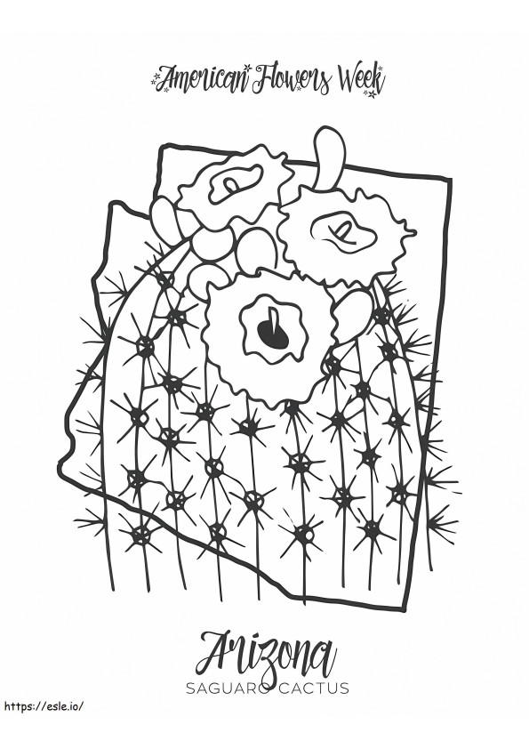 Flor do estado do cacto Arizona Saguaro para colorir