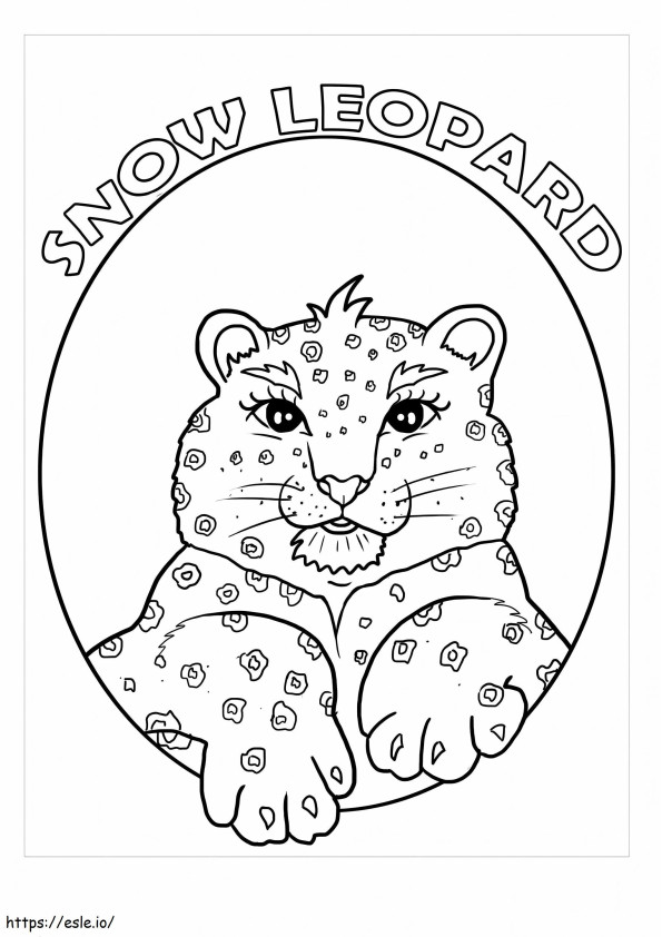 Cara de leopardo da neve para colorir