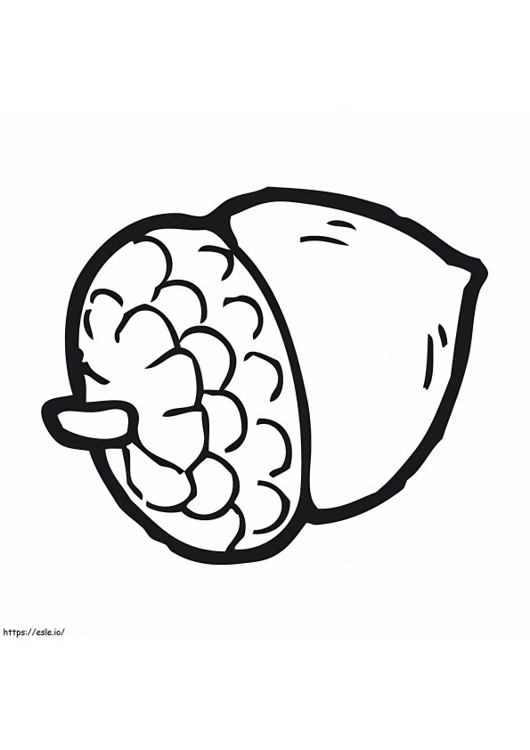 Normal Acorn coloring page