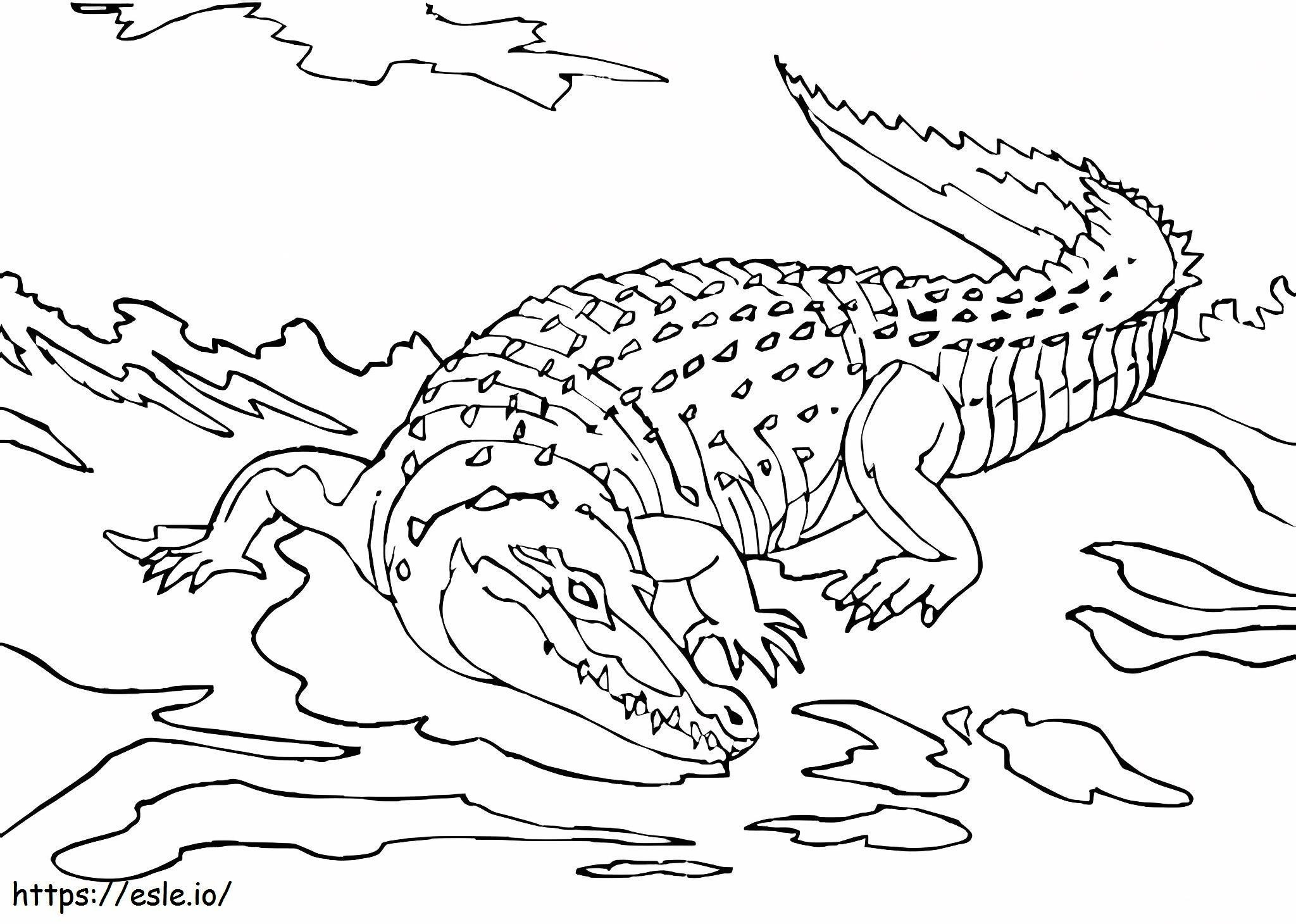 Großes Krokodil ausmalbilder