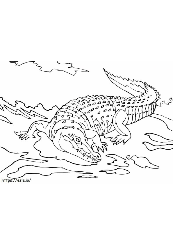 Coloriage Gros crocodile à imprimer dessin
