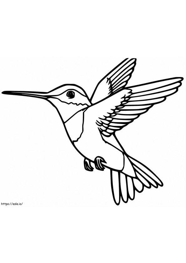 Anas Hummingbird värityskuva