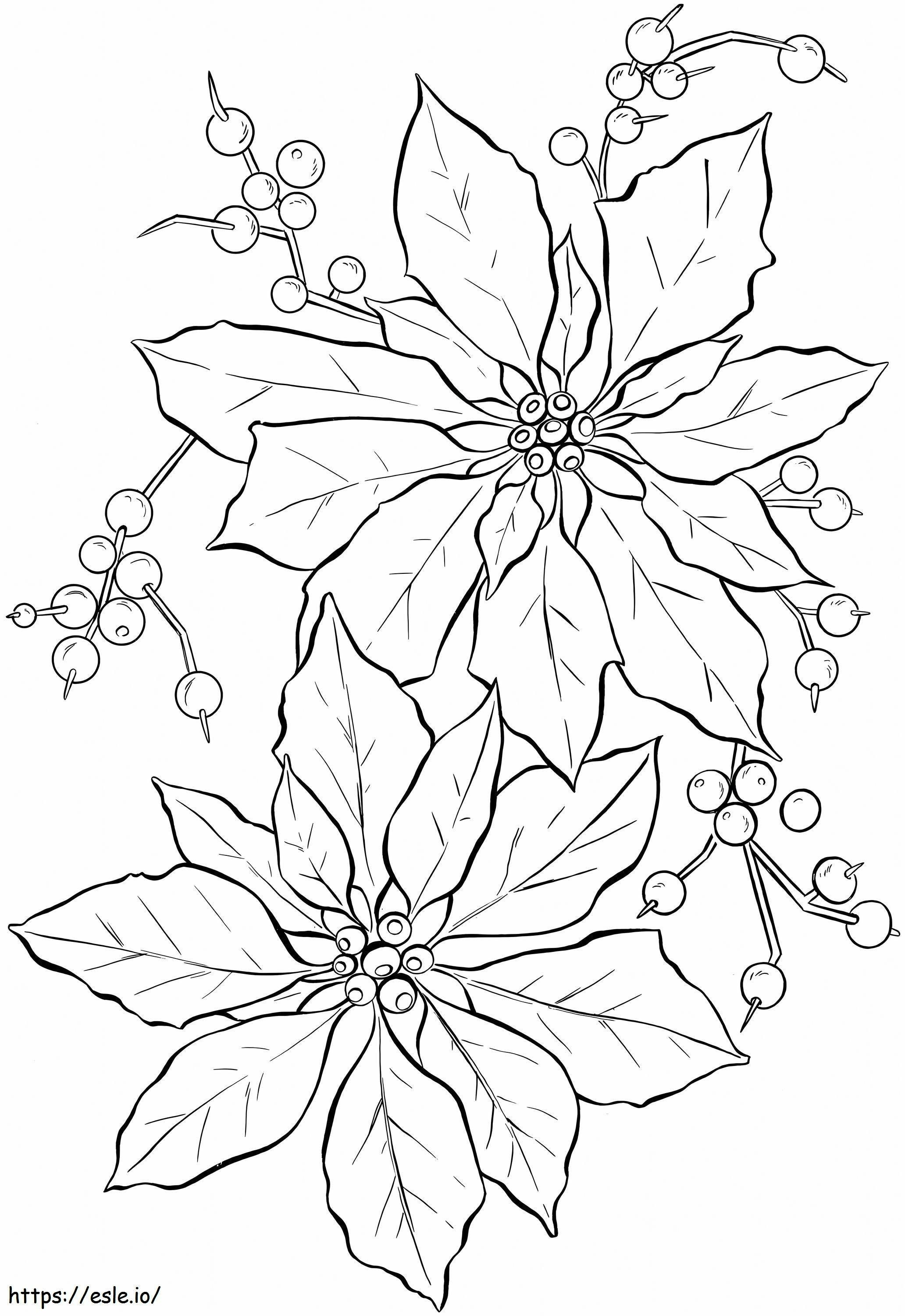 Coloriage Poinsettia Simple à imprimer dessin