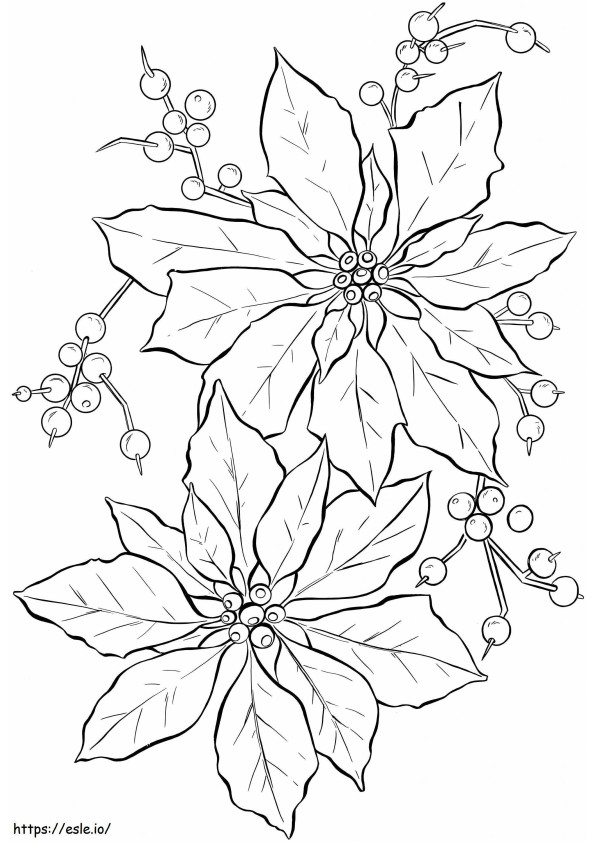Poinsettia Simple coloring page