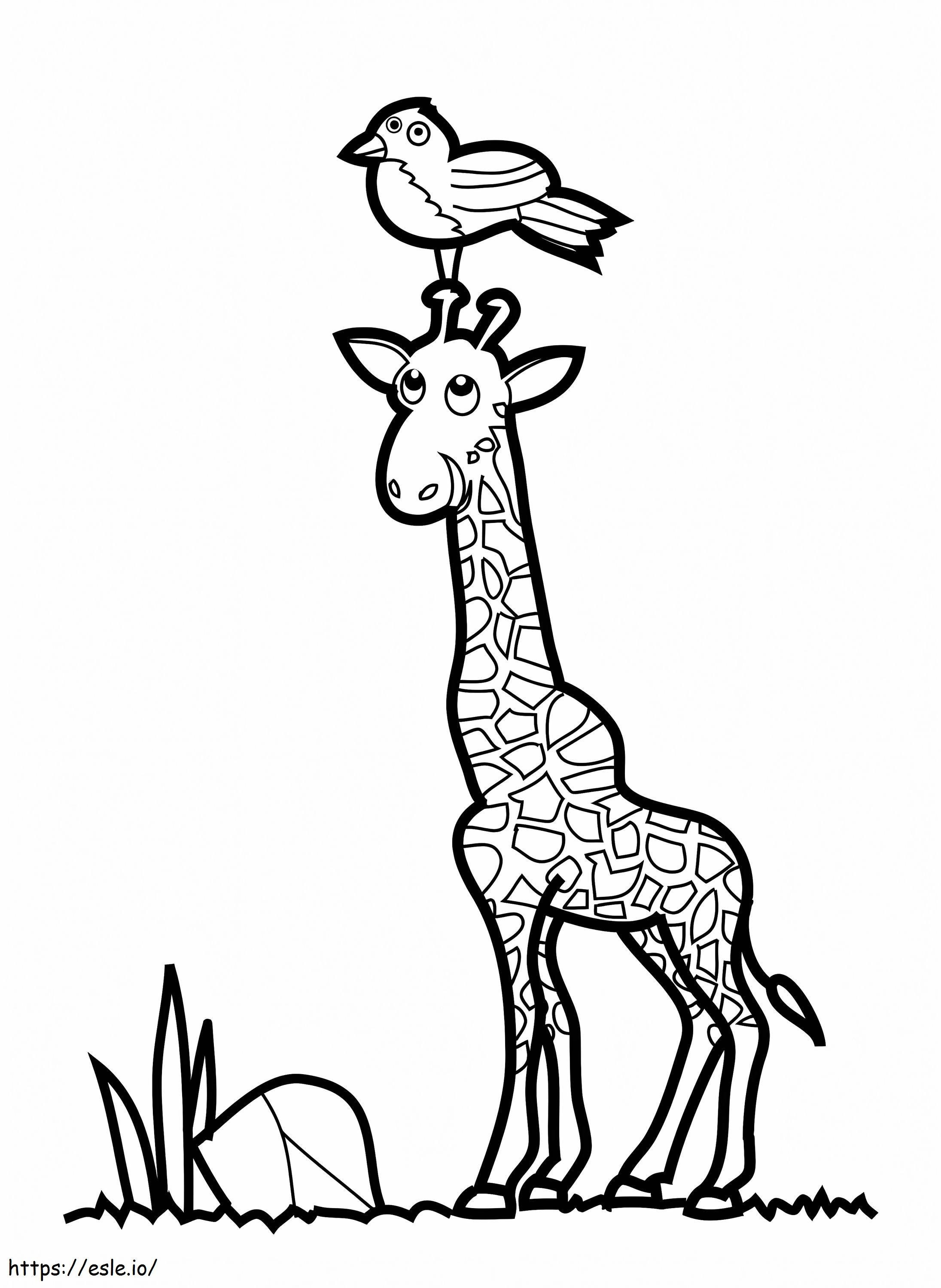 Pássaro e girafa para colorir
