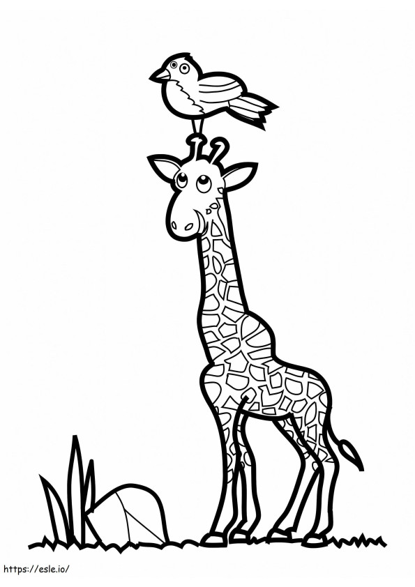 Pássaro e girafa para colorir