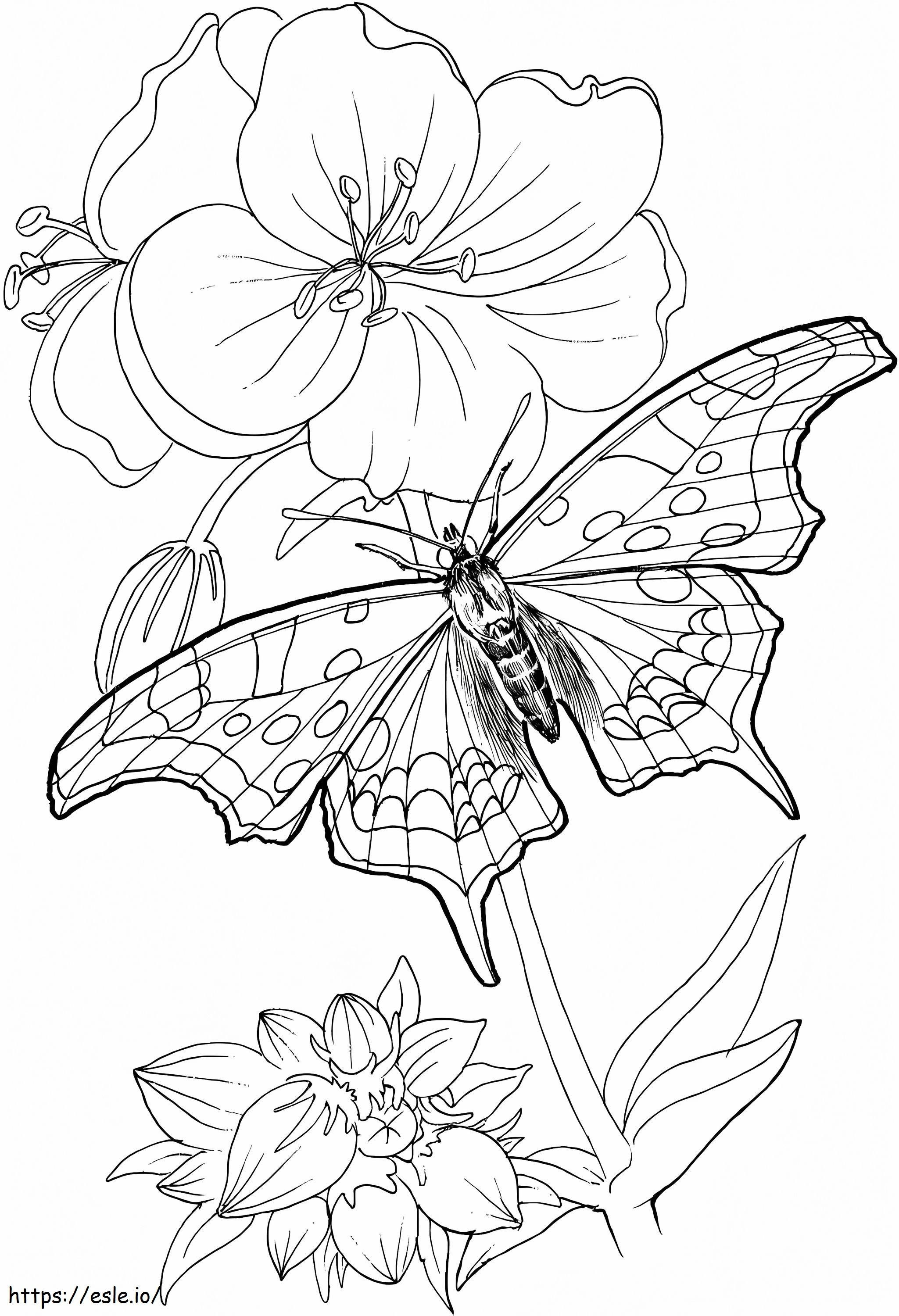 Butterfly On A Flower coloring page