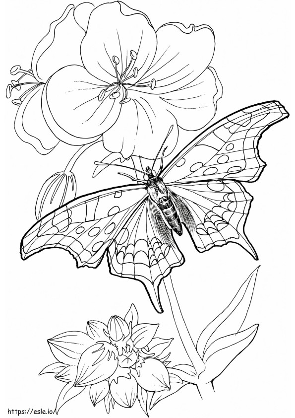 Coloriage Papillon sur une fleur à imprimer dessin