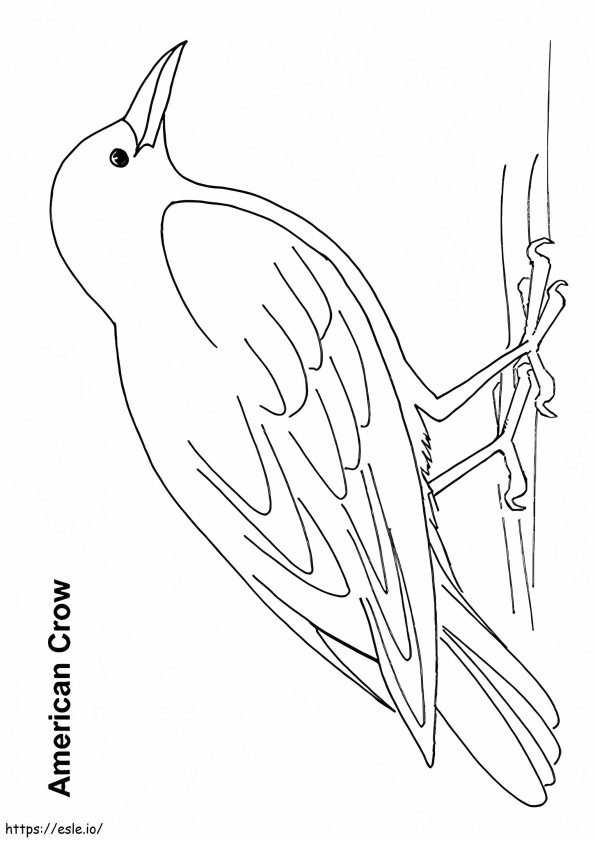 1526426170 American Crow A4 coloring page