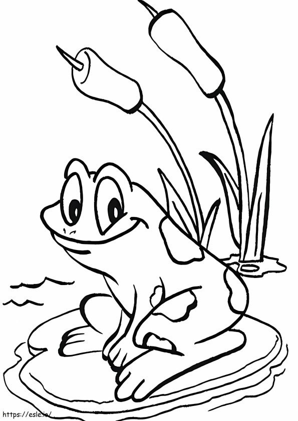 Frog And Flowers coloring page
