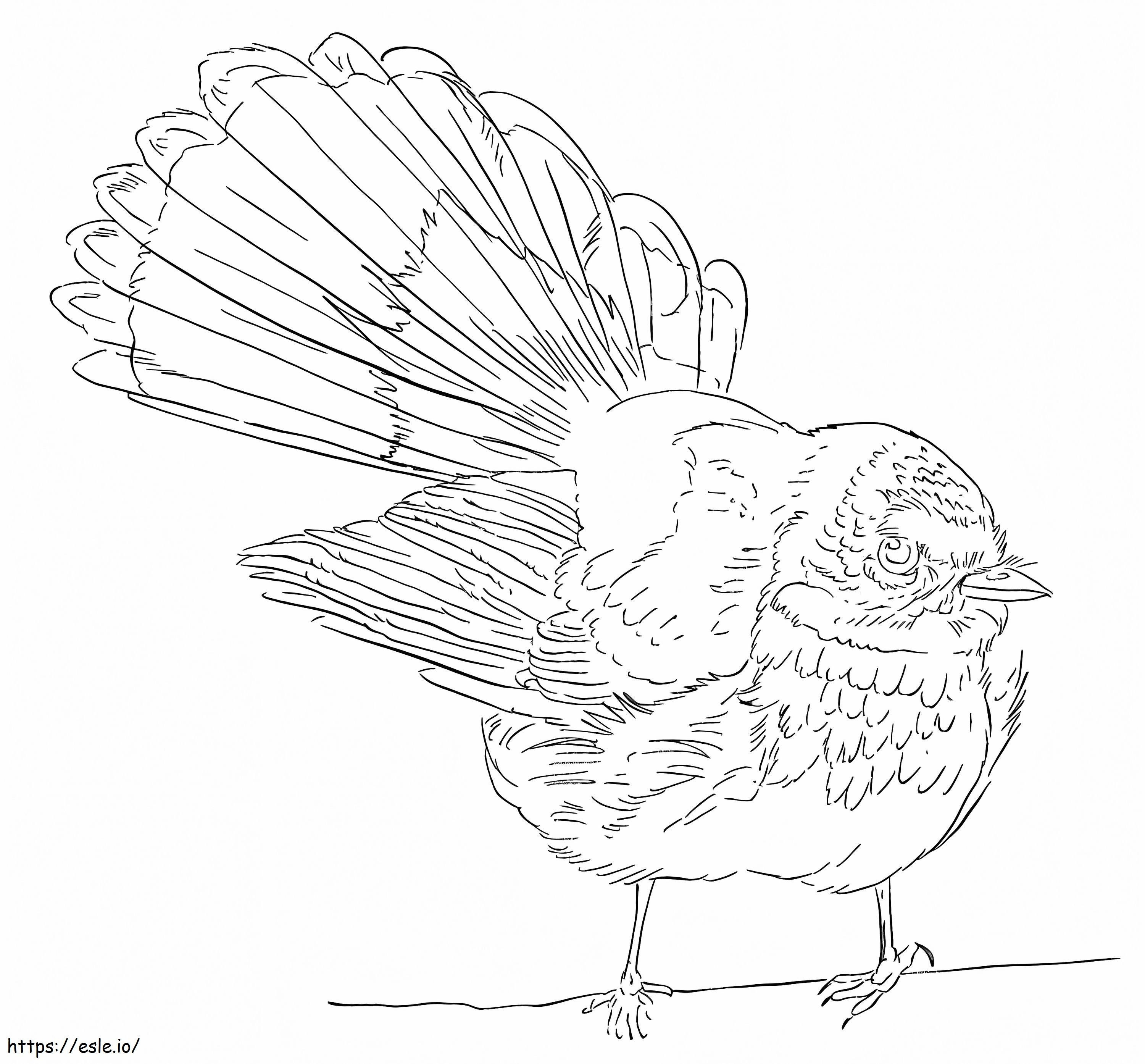 Rufous Fantail coloring page
