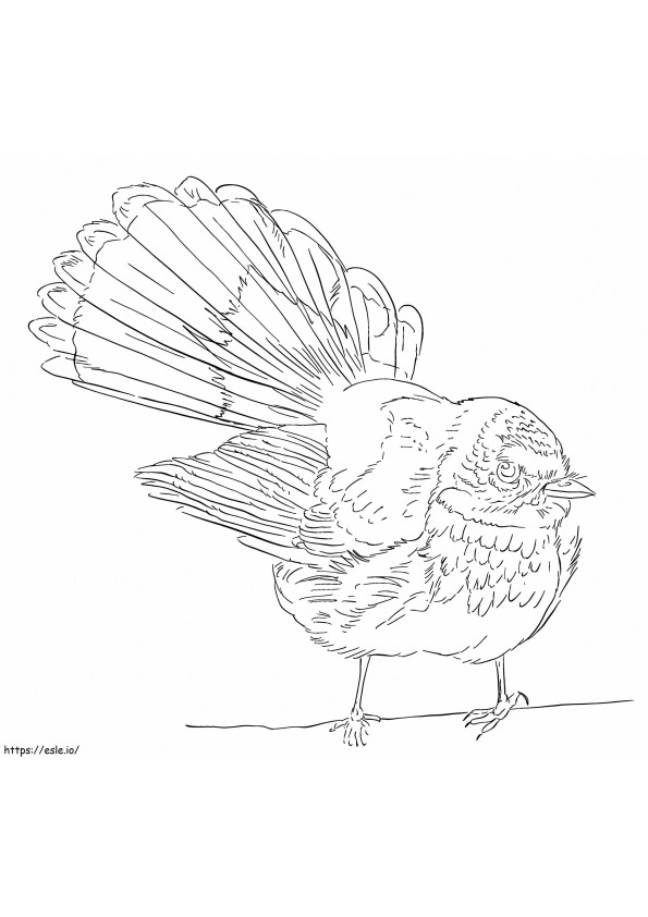 Rufous Fantail coloring page