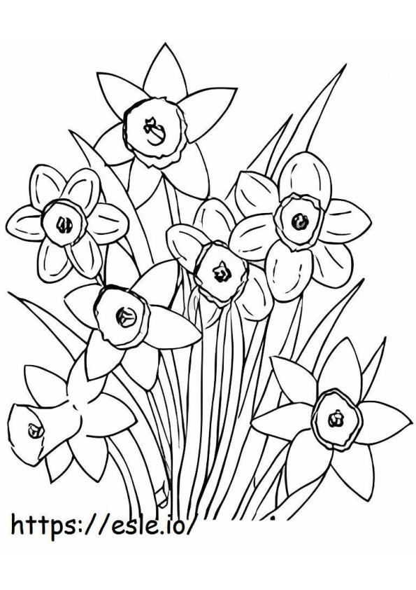 Two Basic Daffodils coloring page